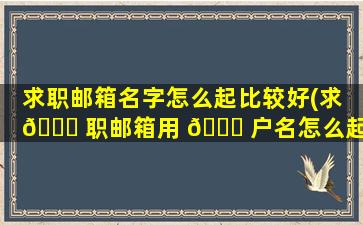 求职邮箱名字怎么起比较好(求 🐛 职邮箱用 🍀 户名怎么起比较正式)